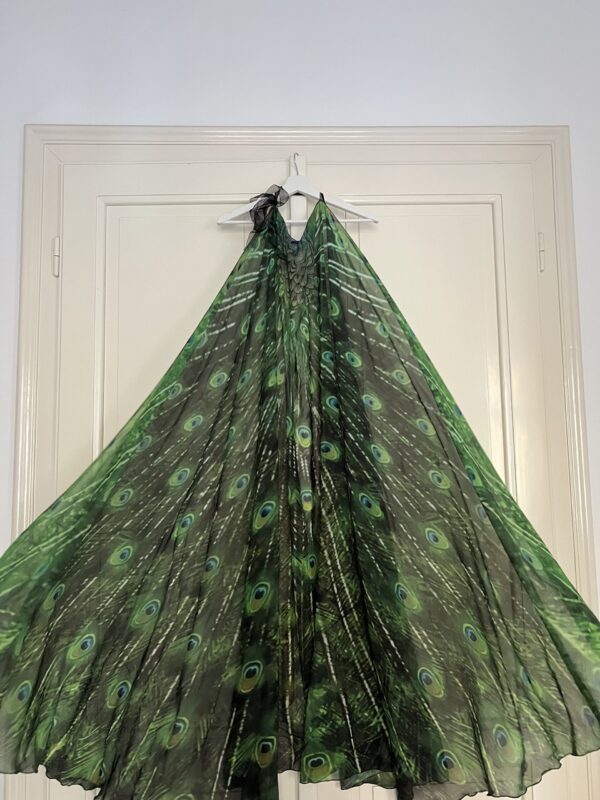 Peacock Wings