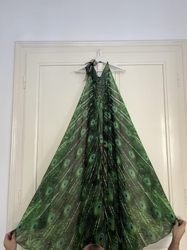 Peacock Wings - Image 3